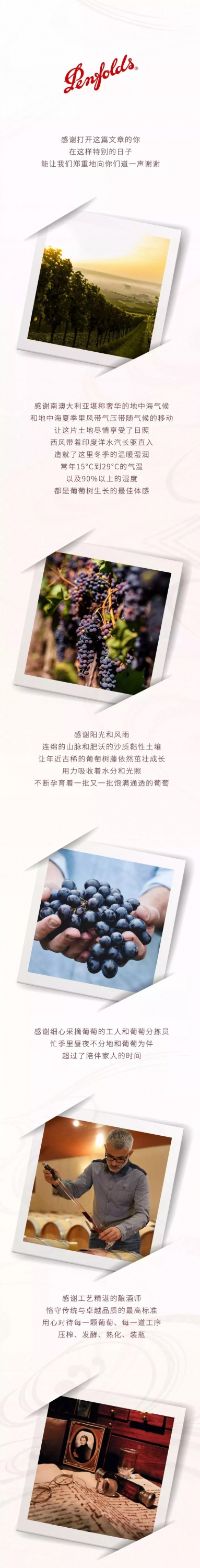 Penfolds  奔富感恩節特輯：第175次感謝，如此長情1